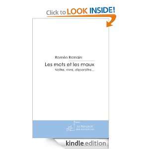 Les mots et les maux (French Edition) Romeo Romain  