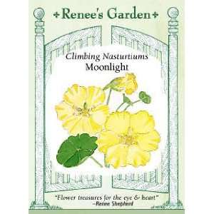  Nasturtium   Climbing Moonlight Seeds: Patio, Lawn 