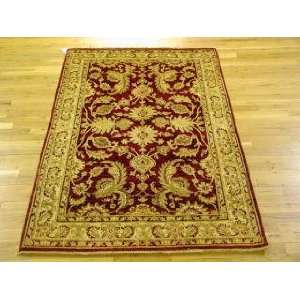   4x5 Hand Knotted Sultan Abad Pakistan Rug   40x510: Home & Kitchen