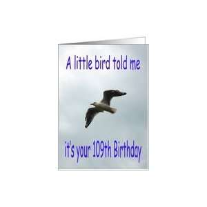  Happy 109th Birthday Flying Seagull bird Card: Toys 