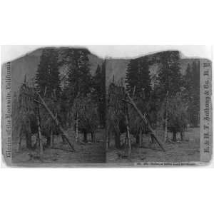  Cashes,or Indian acorn storehouses,Yosemite Valley 