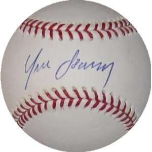 Yunel Escobar Autographed Baseball:  Sports & Outdoors