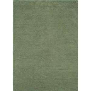   Weavers Rugs HENCAC 3x5 Henley Cactus 3x5 Solid Rug: Home & Kitchen