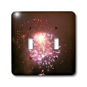   4th of July Celebration   Light Switch Covers   double toggle switch