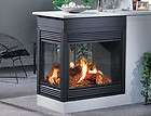 Direct Vent Fireplaces items in Lebovia 