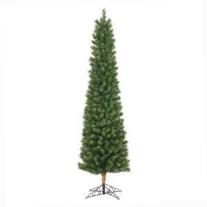  6 x 25 Midland Pole Pine Tree 402 Tips
