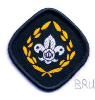 Brunei Scout Section Chief Scout Highest Rank Award  
