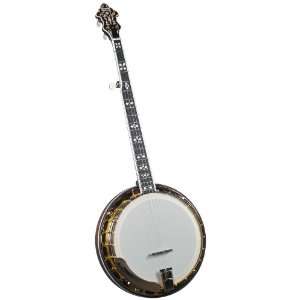  Flinthill FHB 282A Archtop Banjo with Case: Musical 