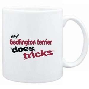   White  MY Bedlington Terrier DOES TRICKS  Dogs