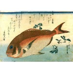     Ando Hiroshige   24 x 16 inches   Red Sea bream: Home & Kitchen