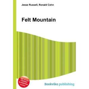  Felt Mountain: Ronald Cohn Jesse Russell: Books