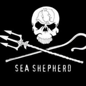  Sea Shepherd Pins Arts, Crafts & Sewing
