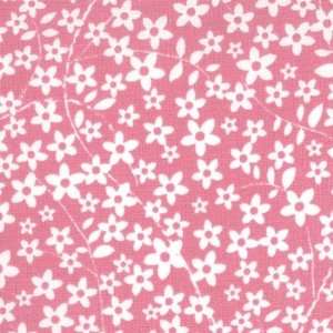  Sunkissed   Meadow Sweet in Pink Sorbet: Baby