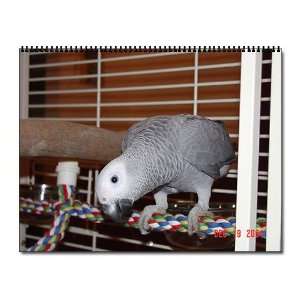  African Grey Pets Wall Calendar by  Office 