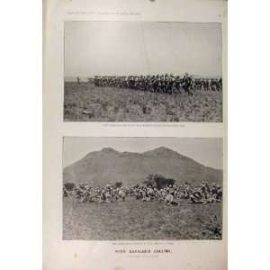    Gatacres Column Gatacre Boer War Africa 1900 Horses