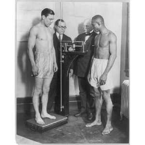  Boxers weigh in,NY,Harry Greb,Bert Stand,Muldoon,Tiger 