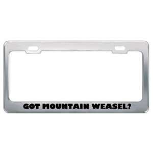 Got Mountain Weasel? Animals Pets Metal License Plate Frame Holder 