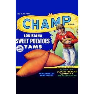  Champ Louisiana Sweet Potatoes 16X24 Canvas Giclee: Home 