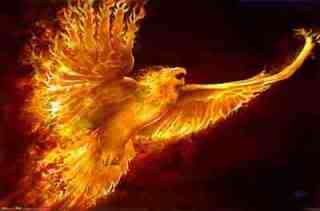   RARE AND POWERFUL PHOENIX! UNMATCHED POWERS WEALTH & RENEWAL  