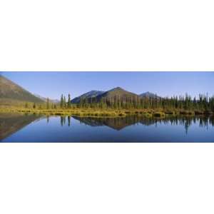  Reflection of Pine Trees in Water, View from Dempster 