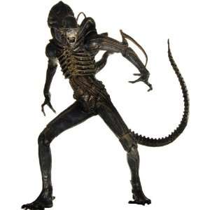  Aliens   7 Alien Warrior Figure Toys & Games