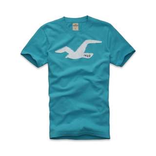 NWT Hollister by Abercrombie Men T Shirt, Broad Beach, Turquoise 