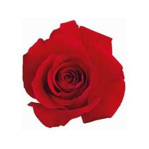  Red Rose Cut Out Card Arts, Crafts & Sewing