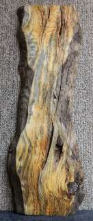 Super Awesome Blue Spalted Curly Pine Live Edge Project Craftwood Slab 
