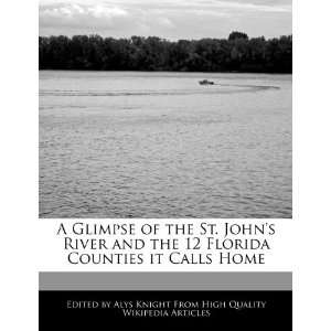   12 Florida Counties it Calls Home (9781270854845) Alys Knight Books