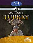 live turkey  