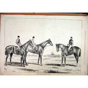  1878 American Horses Bombast Parole Gloverbrook Print 