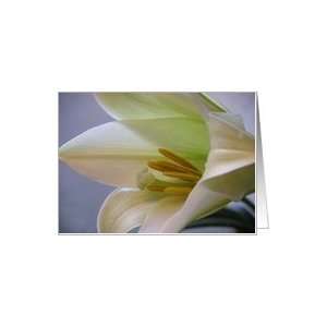 Easter Lily Four Card