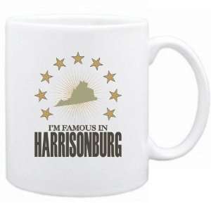   Am Famous In Harrisonburg  Virginia Mug Usa City