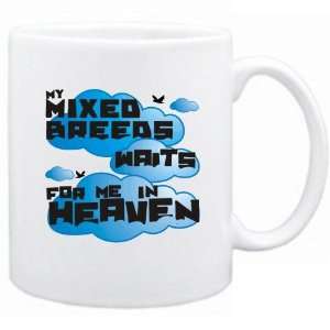   New  My Mixed Breeds Waits For Me In Heaven  Mug Dog: Home & Kitchen
