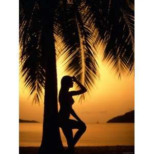 Silhouette of Woman Leaning Against Palm Tree Trunk at Sunset Along 