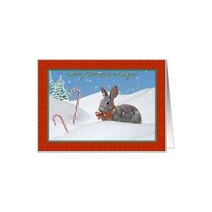  Christmas Card For Miguel with Rabbit in Snow Card: Health 