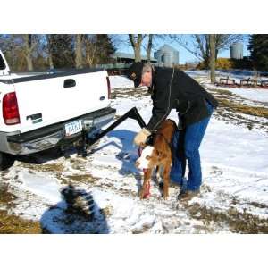  Hitch Mounted Calf Carrier: Everything Else