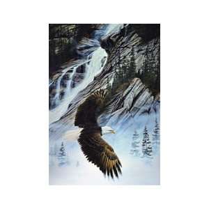 Shannon Falls   1000 Pieces Jigsaw Puzzle Toys & Games