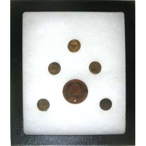   British Merchant Navy Buttons & British Half Penny in Riker Display