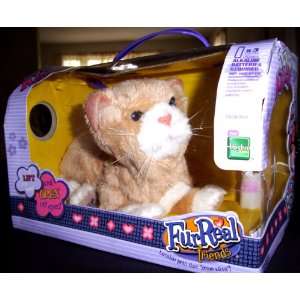  FurReal Friends Newborn Kitten Toys & Games