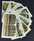 LOT OF 9 VINTAGE STEREOVIEW CARDS LOS ANGELES CA GUC