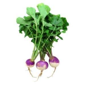   + Organic Purple Top Turnip Seeds Wholesale Lot Patio, Lawn & Garden