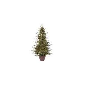  Vickerman 21589   6 x 46 Nevis Pine Potted 300 Clear 