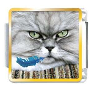  Bad Cat Animal Photo Italian Charms Bracelet Link Pugster 