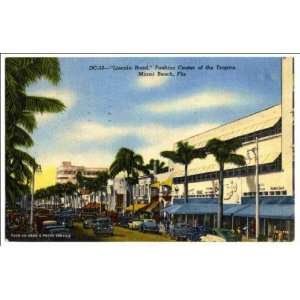  Reprint Lincoln Road, fashion center of the tropics, Miami 