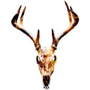  Deer Skull Graphic in Inferno Flames   4 h   REFLECITVE 
