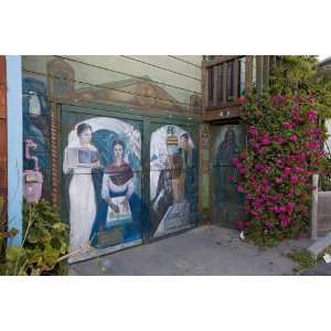   Mural Balmy Alley San Francisco California 24 X 17: Everything Else