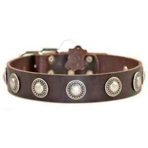  Dean & Tyler Leather Dog Collar Simple Treasure   High 