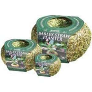  Barley Straw Planter Mini 3oz 3   1/4x 6 X 6 Treats 500 