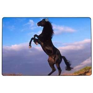   Eee Pad Transformer TF101 Decal Skin Sticker   Animal Mustang Horse